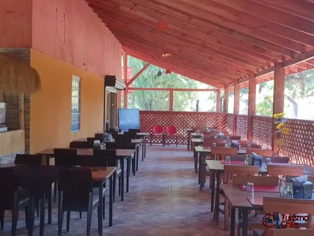 Entorno natural arbolado del complejo Cabañas La Chinita en verano